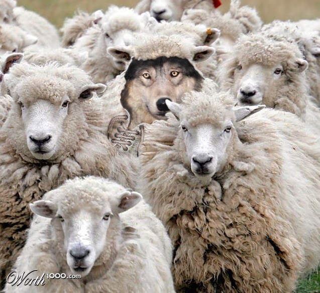 wolf-in-sheep-clothing.jpg?w=640